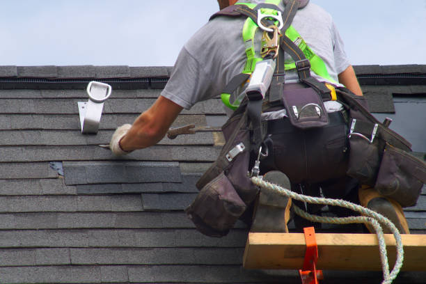 Professional Roofing Contractor in Hollandale, MS