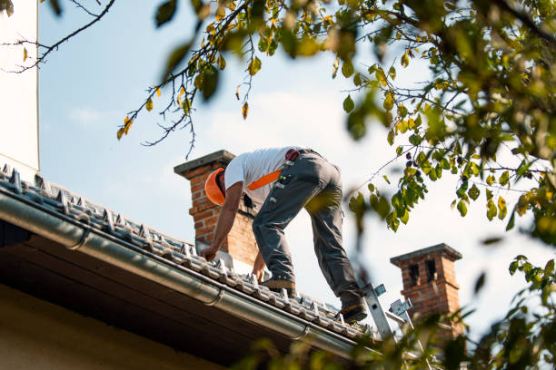Best Roof Gutter Cleaning  in Hollandale, MS