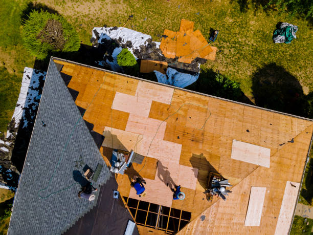Roof Gutter Cleaning in Hollandale, MS