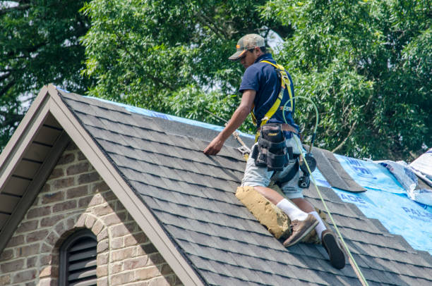 Best Roof Maintenance Services  in Hollandale, MS